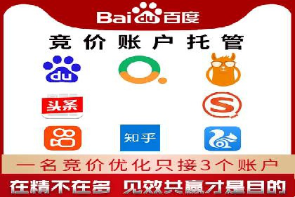 竞价推广公司的策略布局：某行业领导品牌的成功案例